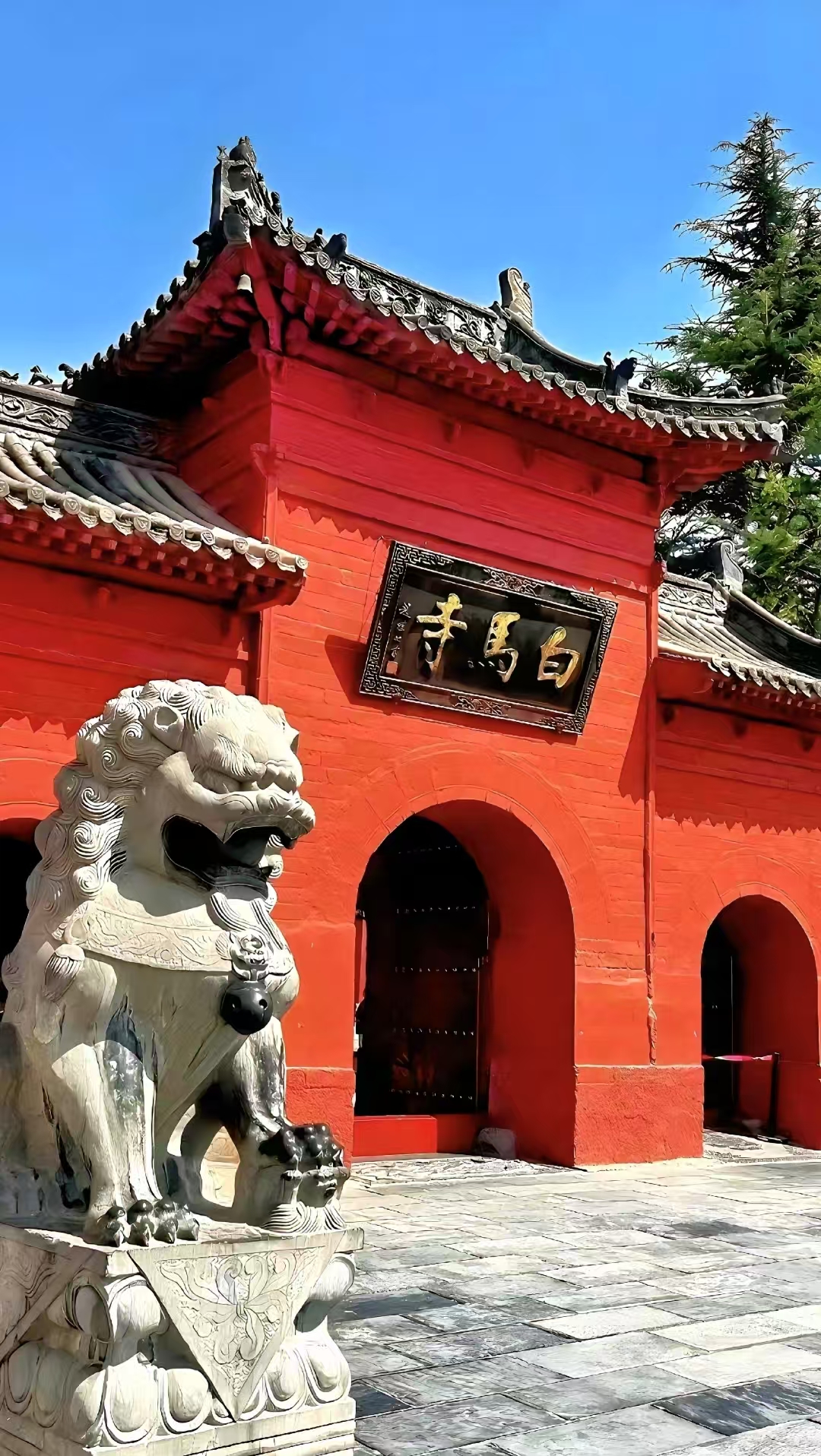 5a0167e5133a9d47f55fc61687cb5ea 5a0167e5133a9d47f55fc61687cb5ea